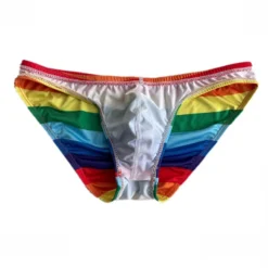 LGBT Rainbow Swim Briefs 15 LGBT Rainbow Swim Briefs -BoldSkin Store S22e27ebb1592435c9feda93433811eecl