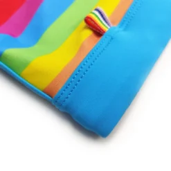 Rainbow Pride Drawstring Swim Trunks -BoldSkin Store S7633bd9002aa40a49cd2f89effa44adaX