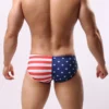 USA Wide Swim Briefs